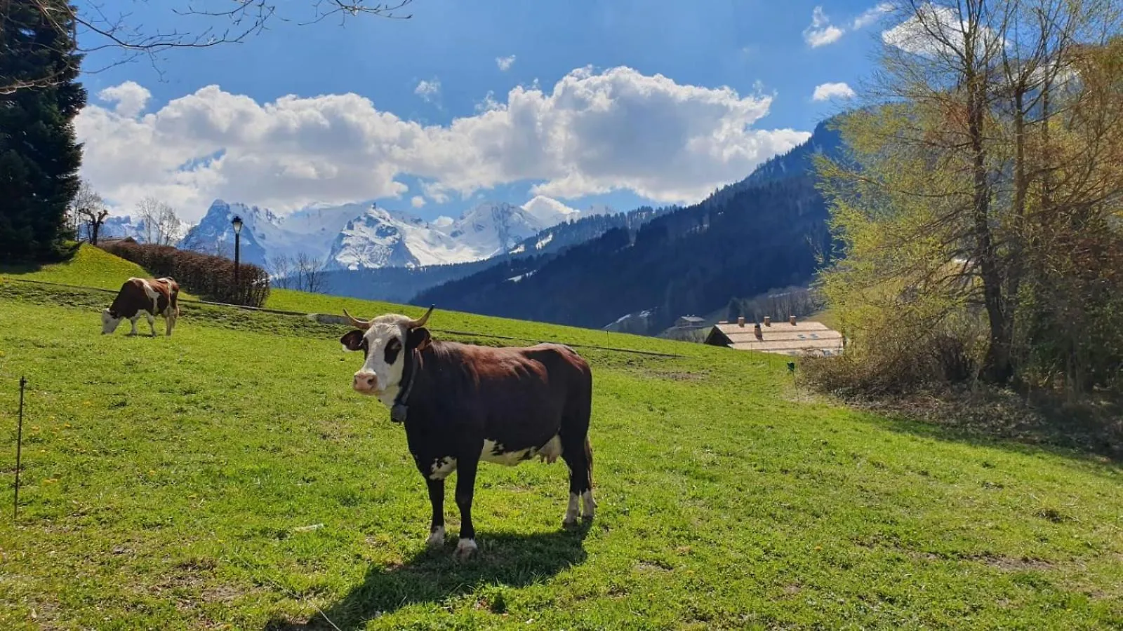 Le Rookie Mountain Hotel Le Grand-Bornand