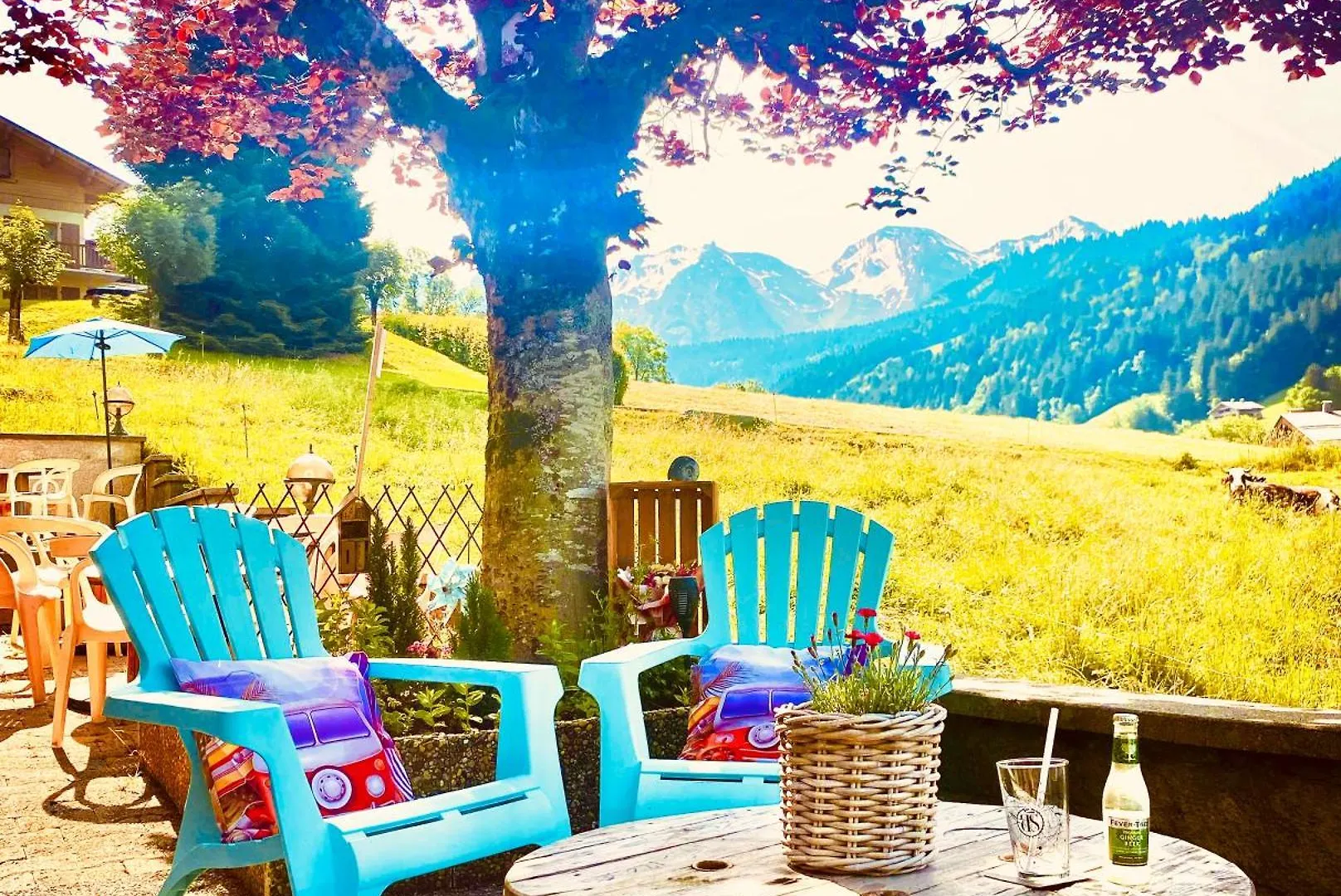 Le Rookie Mountain Hotel Le Grand-Bornand