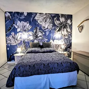 La Bulle Bleue - Parking-terrasse-aeoport-meet Francia